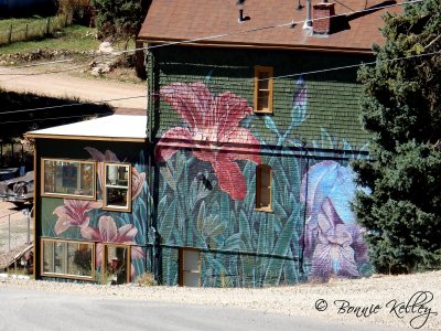 Victor, CO