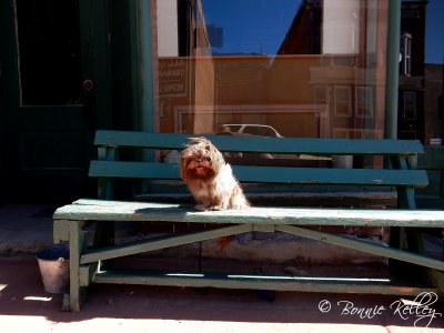 Casey on a bench at Victor, CO