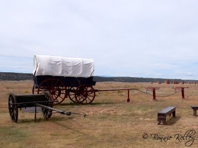 6 Mule Wagon Ft Union, NM