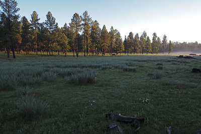  Landscapes and Portraits of the West - Arizona