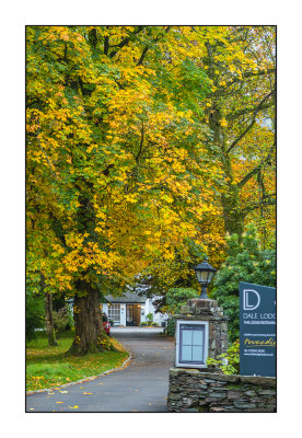 Grasmere