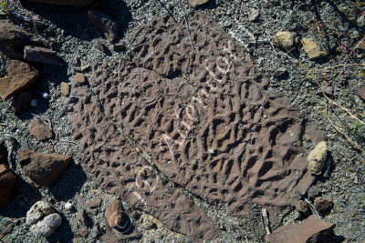 Roggeveld Escarpment and Tanqua Karoo