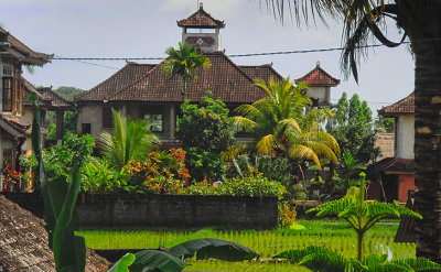 View from our terrace, Ubud, Bali, Indonesia