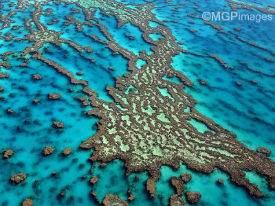 Great Barrier Reef, Australia