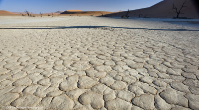 Deadvlei