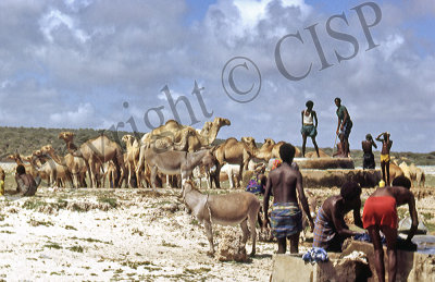 Southern Somalia, 1983