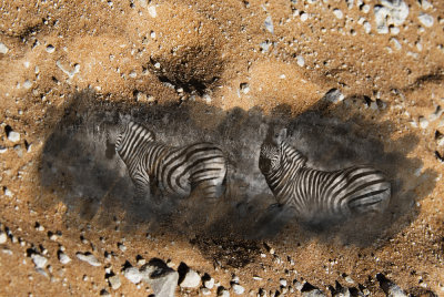 Moremi, Botswana