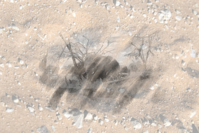 Selinda, Botswana