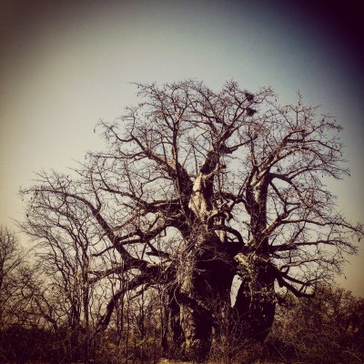 Makgadikgadi Pan, Botswana