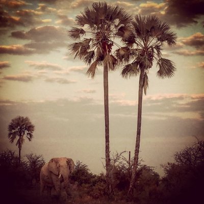 Makgadikgadi Pan, Botswana