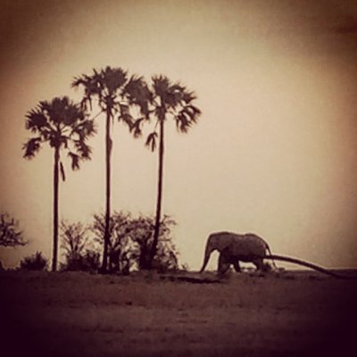 Makgadikgadi Pan, Botswana