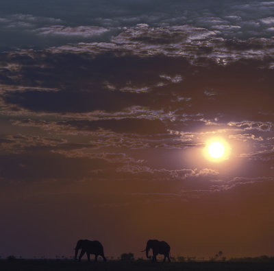 Makgadikgadi Pan