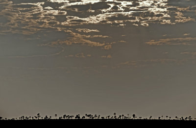 Makgadikgadi Pan