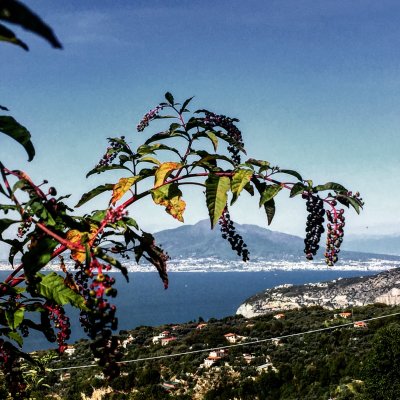 The Vesuvius and Naples