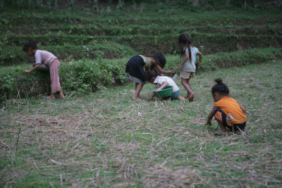 Thai 2012 100M0602.jpg