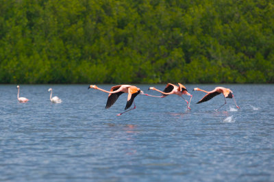 100M0407 - Version 2.jpg