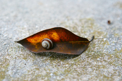 100M0905 - Version 2.jpg
