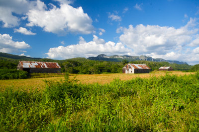 100M1433 - Version 2.jpg