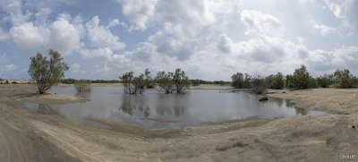Flood field - Ashkelon South