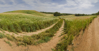 Ruhama Badlands
