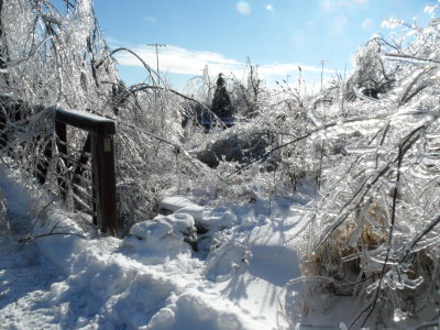 Ice Storm 22 December 2013