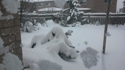 February 5th and the 6' fence is nearly buried