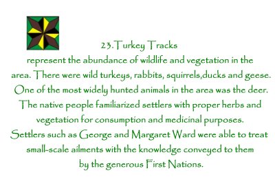 Turkey Tracks description