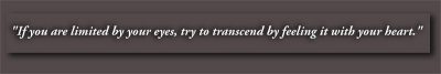 Honson_gallary_banner.jpg