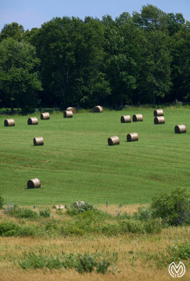 Bales