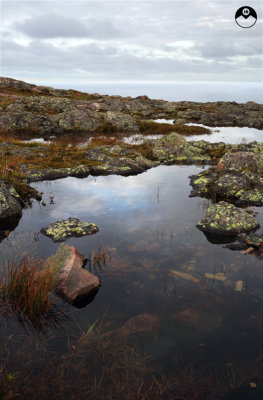 Ocean to a Puddle