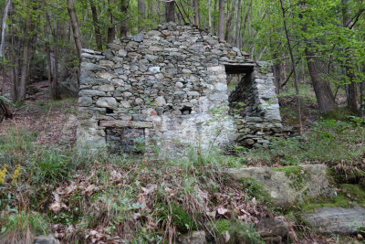039 Ruins in Chestnut Forrest TdG 13.jpg