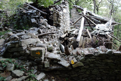 040 Ruins in Chestnut Forrest TdG 13.jpg