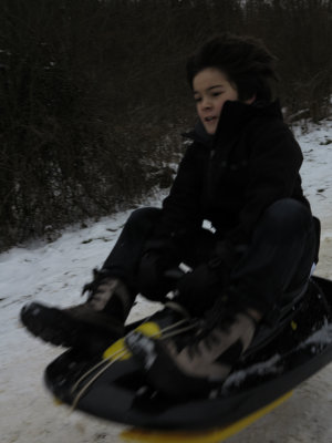 2 Mark Sled.jpg
