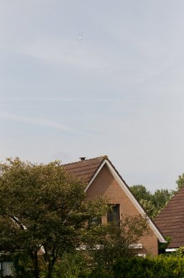 FeestjeWesley2013-0250.jpg
