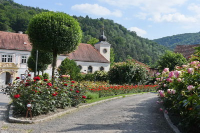 Der Rosengarten in Pitten, Juni 2015