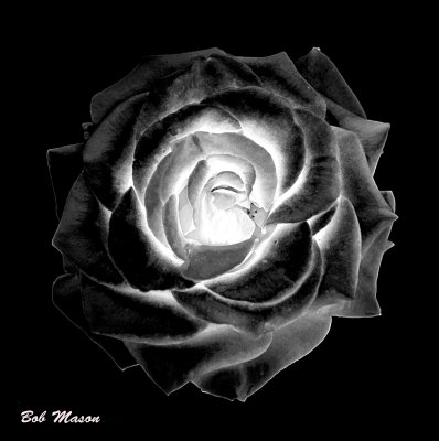 Floral Art...