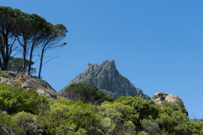 D40_2913F Tafelberg (Table mountain).jpg