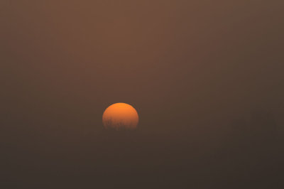 D4S_2963F Diepholz zonsopgang (sunrise).jpg