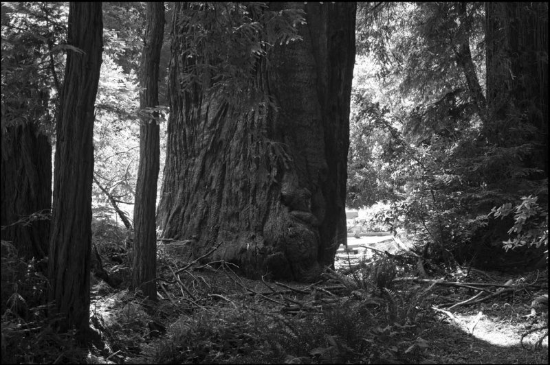 san-francisco_yosemite_juin_2014