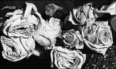 exprience-Nature morte 704 copie.jpg