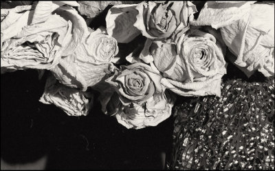 exprience-Nature morte 708 copie.jpg