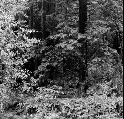 L1000183-copie.jpg