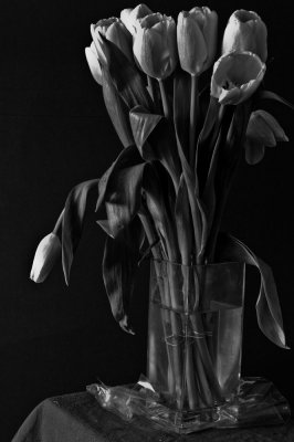 L9993288-copie.jpg