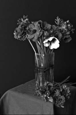 L9993305-copie.jpg