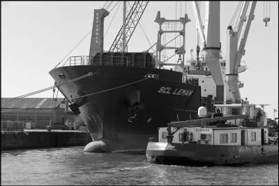 L1001584.jpg