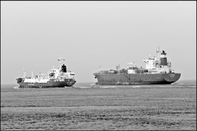 L9993918-1.jpg
