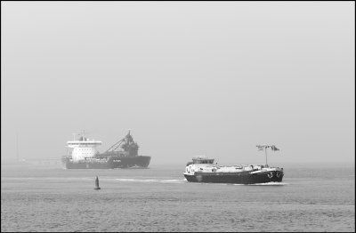 L9993919-1.jpg