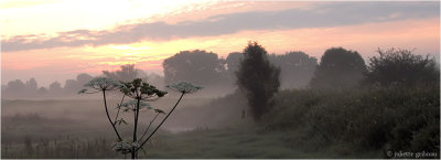 P7250113 -1.jpg
