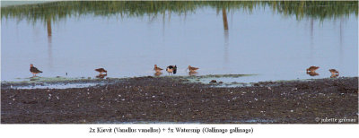 Velperwaarden