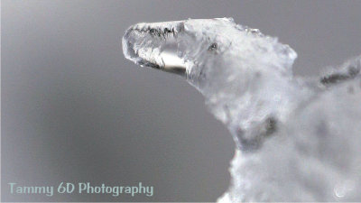g9/27/1110227/3/154742830.wPe1lw9O.jpg